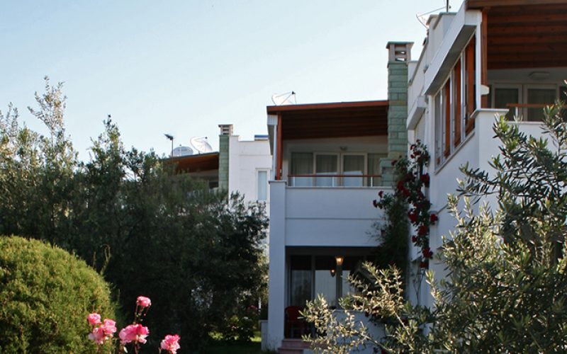Tesisin iki katlı beyaz binası bahçeden görünüyor; üst katta ahşap korkuluklu balkonlar, önde zeytin ağaçları ve pembe güller.